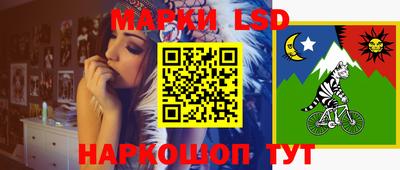 СК Кудрово