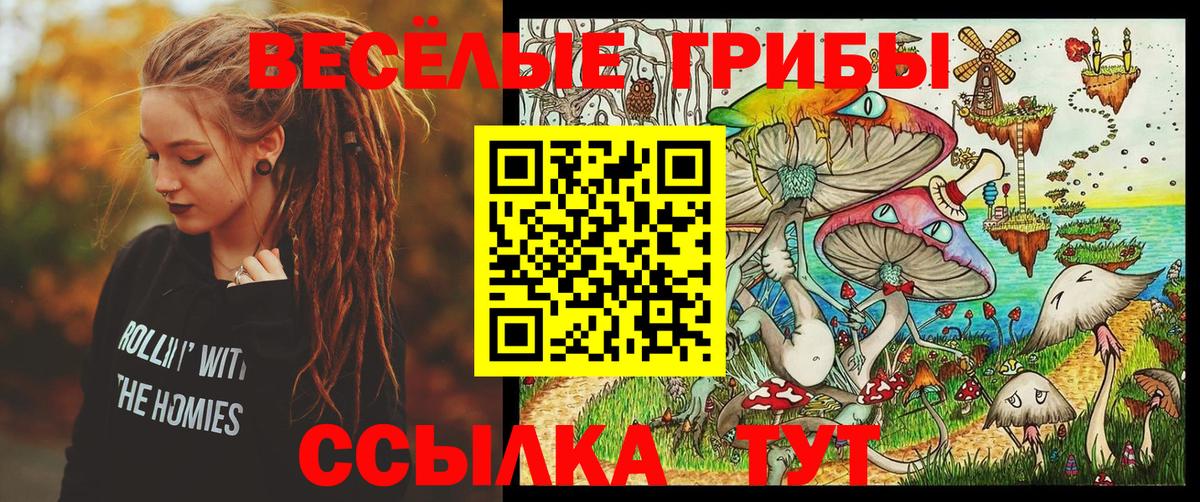 Грозный  Псилоцибиновые грибы GOLDEN TEACHER  Вход с VPN  Галлюциногенные грибы Magic Shrooms 