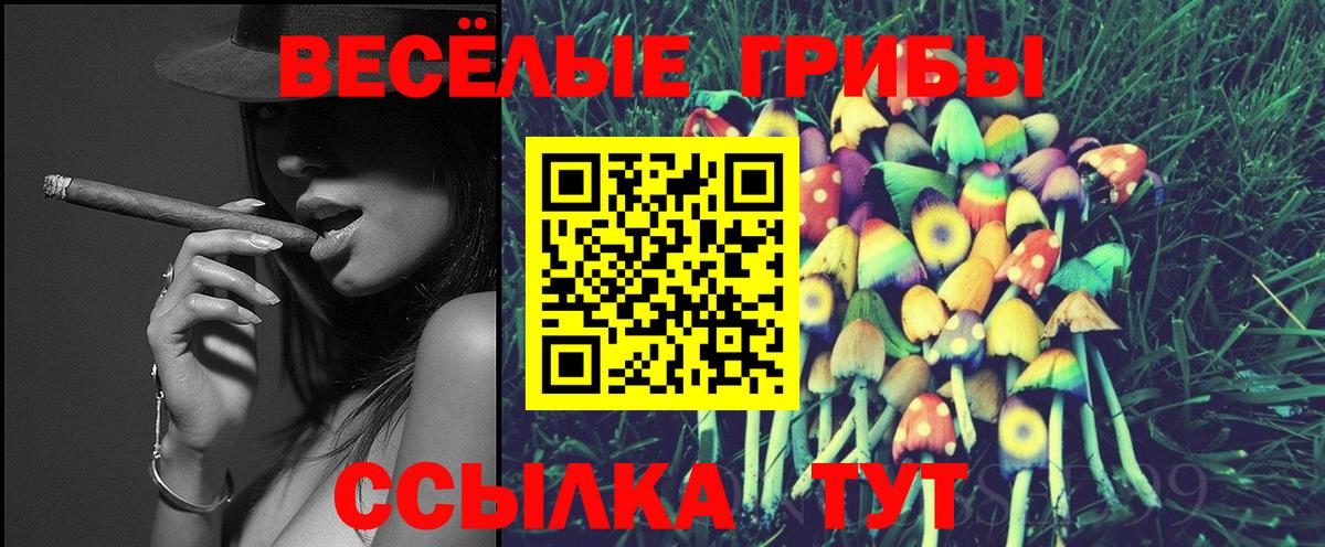 Галлюциногенные грибы GOLDEN TEACHER Грозный